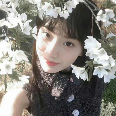 侠岚第六季